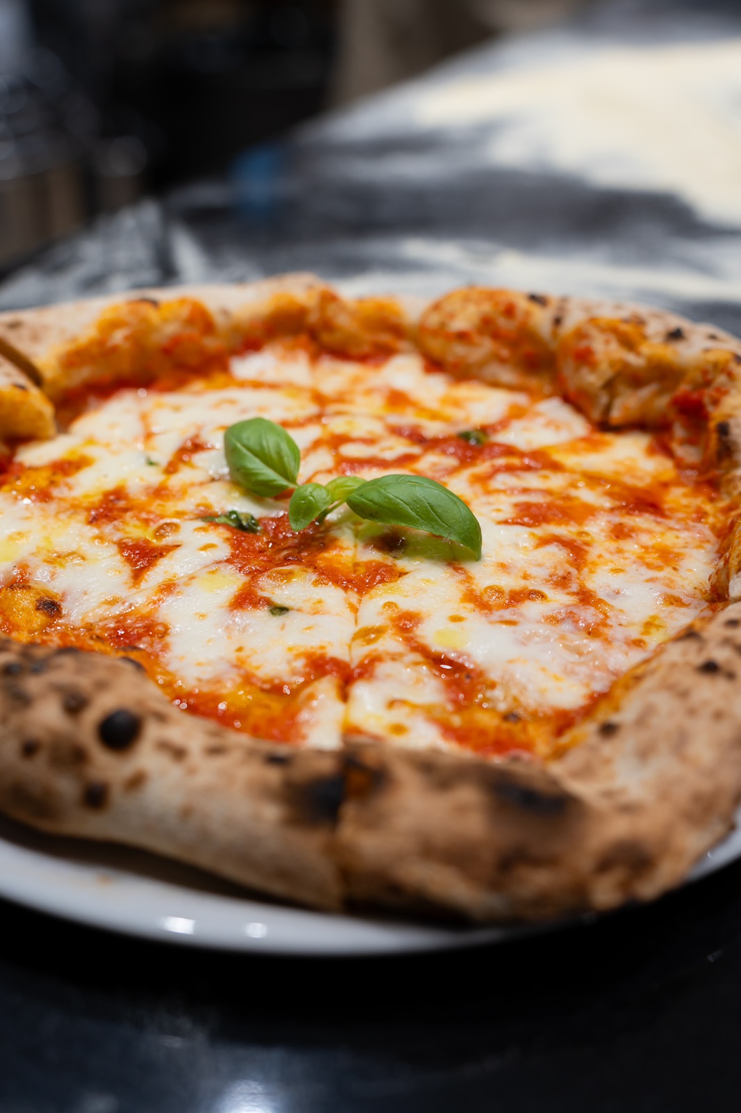 Napolitanska pizza sa Caputo brašnom